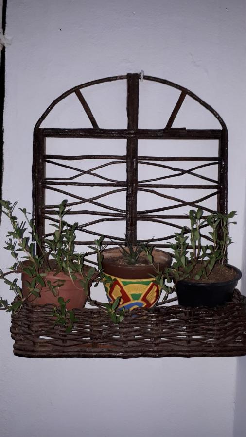 Estalagem Pingo Do Meio Dia